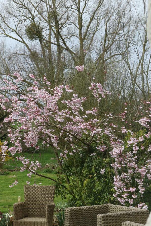 Le Bourgis Bed & Breakfast La Chapelle-Montligeon Dış mekan fotoğraf