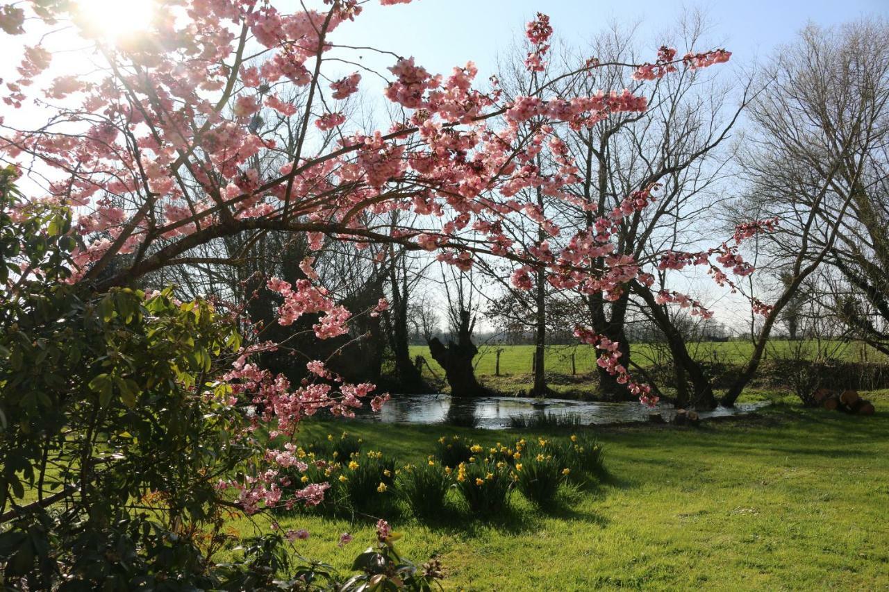 Le Bourgis Bed & Breakfast La Chapelle-Montligeon Dış mekan fotoğraf